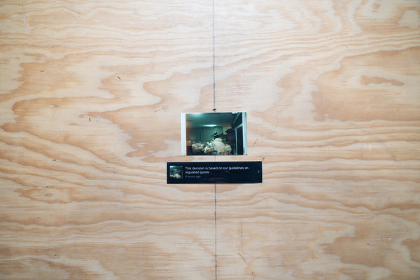 IG Hates Us Slap pack